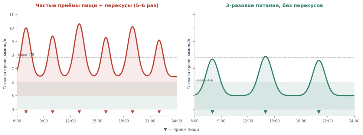 Уровень сахара крови: частые перекусы против питания без перекусов